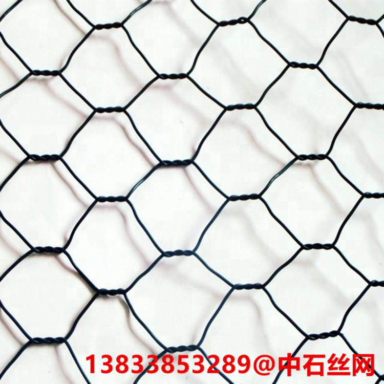 白板图1.jpg