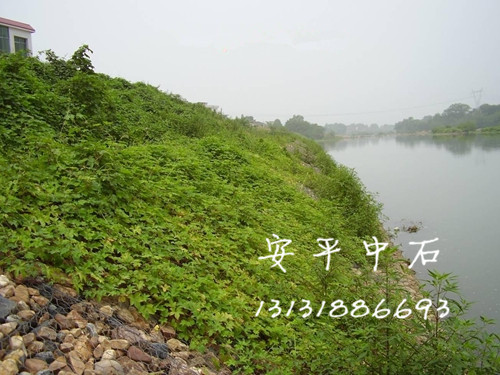 123898.jpg