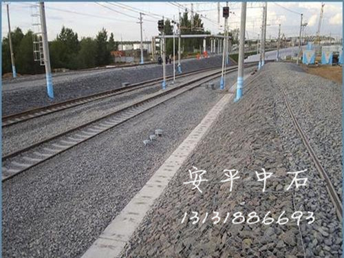 123533.jpg