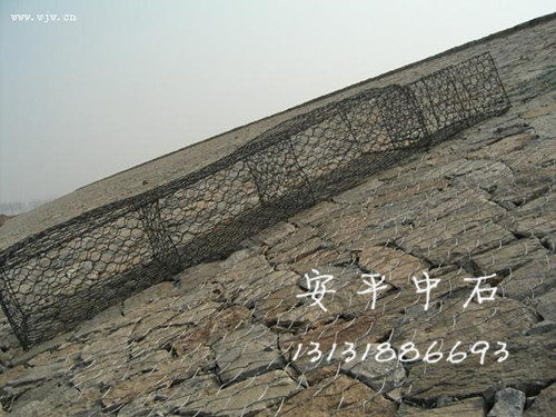 123646.jpg