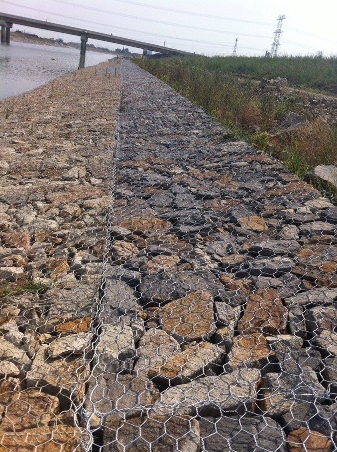 QQ图片20130803170312.jpg